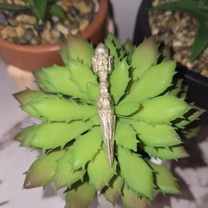 May include: A silver-colored, ornate dagger-shaped object is centered on a green succulent plant. The dagger has detailed carvings and a pointed tip. The succulent has light green leaves with reddish-brown tips. The background includes two potted plants.