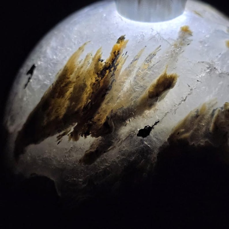 Peut inclure: Gros plan sur un cristal clair et arrondi avec des inclusions internes. Le cristal pr&eacute;sente des formations plumeuses brun dor&eacute; qui ressemblent &agrave; des structures v&eacute;g&eacute;tales. Le fond est sombre, mettant en valeur les d&eacute;tails du cristal.