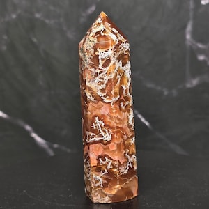 May include: A polished crystal tower with a hexagonal point, featuring a warm color palette of deep amber, burnt orange, and translucent brown tones, accented by intricate, branching white dendritic inclusions throughout the stone surface.