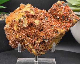 Gran ejemplar de cristal de vanadinita de 10,9 cm en matriz – Cúmulo de cristales marroquíes
