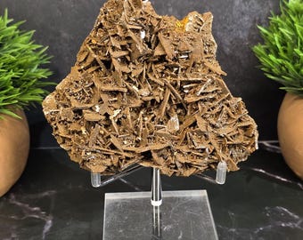 Racimo de cristales de barita de chocolate marroquí / Ejemplar mineral en soporte
