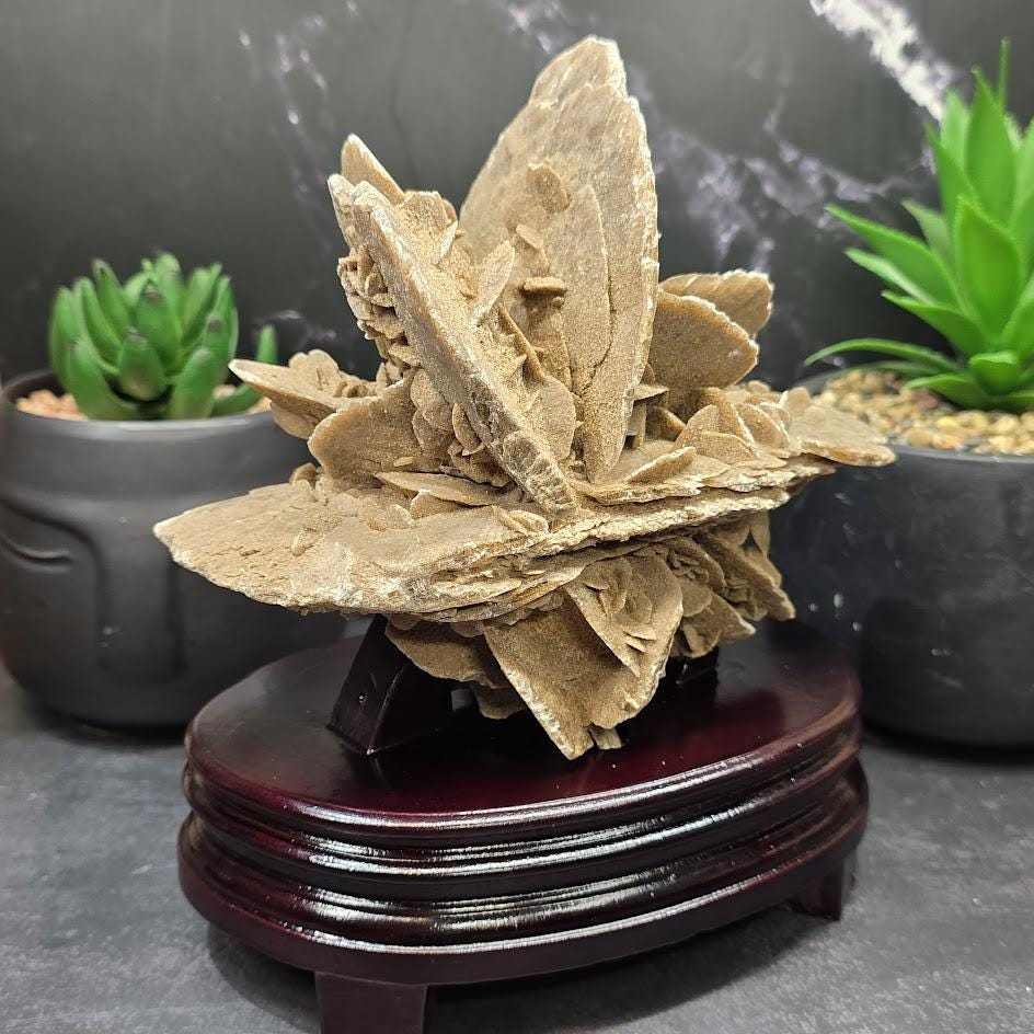 Large Desert Rose Specimen - Etsy