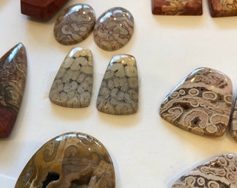 May include: A collection of polished, smooth cabochons featuring various shapes including oval, trapezoidal, and irregular forms. The stones display intricate, swirling patterns in shades of tan, brown, cream, and grey, with some pieces showing small, hollowed-out centers.