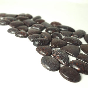 Dinosaur Bone cabochons
