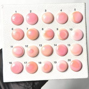 Rosa drottning Conch Cabochons | AAA-kvalitet snäckskalsten | Slätpolerad Cabochon | Rosa snäcksmyckessten