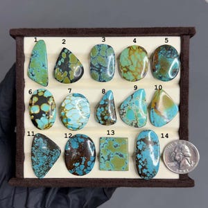 May include: A collection of fourteen polished turquoise cabochons in various shapes and shades of blue and green with dark matrix patterns, arranged in a display tray next to a United States quarter for scale, numbered one through fourteen.