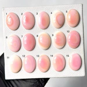 Puede incluir: Una colección de quince cabujones ovalados de concha de caracola rosa pulida, dispuestos en tres filas sobre un tablero de exhibición blanco texturizado. Cada cabujón presenta patrones de remolinos únicos en tonos de rosa claro a oscuro y crema, numerados del 1 al 15.