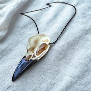 Bone Jewelry Raven Skull Necklace – Gothic Bird Skull Pendant, Witchy Viking Jewelry, Oddities & Curiosities, Goth Gift for Her/Him