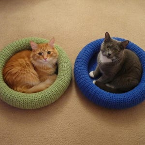 Puede incluir: Dos gatos en camas redondas de ganchillo. Un gato naranja está en una cama verde. El otro, gris, en una cama azul. Las camas están sobre una alfombra de tono neutro.