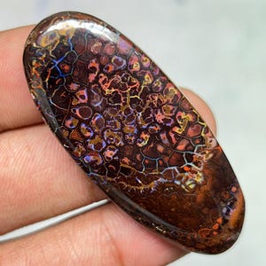May include: A polished, oval-shaped gemstone with a unique pattern. The stone features a dark brown base color with a network of orange, red, blue, and gold-colored inclusions. The surface is smooth and glossy, reflecting light.