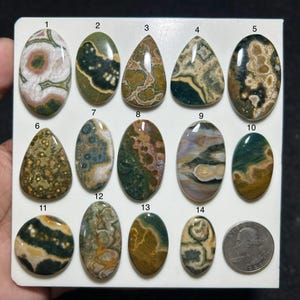 Könnte beinhalten: Eine Sammlung von vierzehn polierten Ozeanjaspis-Cabochons, die auf einer weißen Anzeigetafel angeordnet und von eins bis vierzehn nummeriert sind. Jeder Stein weist einzigartige Muster und Farben auf, darunter Grün, Braun, Weiß und Rosa. Eine US-Vierteldollarmünze dient als Größenvergleich.