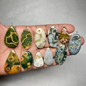 Puede incluir: Once piedras preciosas cabujón pulidas dispuestas en dos filas, numeradas del uno al once. Las piedras presentan varios patrones, incluyendo orbes circulares, texturas moteadas y formas de lágrima u ovaladas en tonos verde, bronceado, gris y rosa.