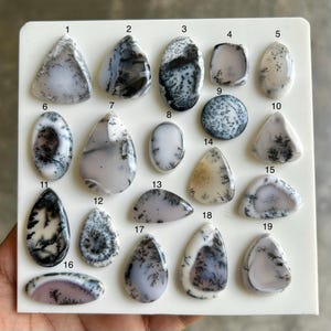 Puede incluir: Una colección de diecinueve piedras preciosas de ópalo dendrítico en varias formas, incluyendo triángulos, óvalos y gotas. Los ópalos presentan patrones blancos, grises y negros, que se asemejan a formaciones arbóreas. Las piedras preciosas se exhiben sobre una superficie blanca.