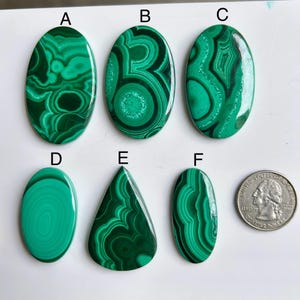 Könnte beinhalten: Sechs polierte Malachit-Edelsteine in verschiedenen Formen, darunter oval und tropfenförmig. Die Edelsteine zeigen eine leuchtend grüne Farbe mit komplizierten dunkelgrünen Wirbelmustern. Eine amerikanische Vierteldollarmünze ist zum Größenvergleich enthalten.