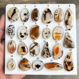 May include: A collection of twenty-two polished agate gemstones in various shapes, including oval, teardrop, and irregular forms. The stones display a range of colors, including white, brown, and black, with unique patterns and inclusions.