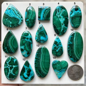 Könnte beinhalten: Eine Sammlung von vierzehn polierten Malachit- und Chrysokoll-Cabochons in verschiedenen Formen wie Tropfen, Oval, Quadrat und Herz, präsentiert auf einer weißen Platte neben einer US-Münze als Größenvergleich, mit grünen und blauen Mustern.