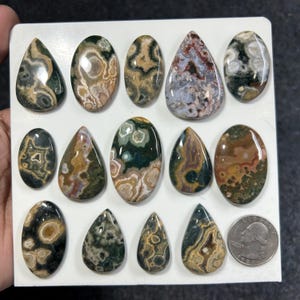 May include: A collection of fourteen polished ocean jasper cabochons in various teardrop and oval shapes, featuring intricate orbicular patterns in shades of green, brown, cream, and grey, displayed alongside a standard U.S. quarter coin for scale.