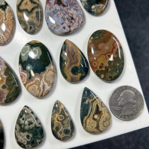 May include: A collection of polished, multi-colored ocean jasper cabochons in various oval and teardrop shapes, featuring intricate circular patterns in shades of green, brown, cream, and pink, displayed next to a U.S. quarter for scale.