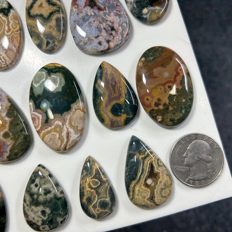 May include: A collection of polished, multi-colored ocean jasper cabochons in various oval and teardrop shapes, featuring intricate circular patterns in shades of green, brown, cream, and pink, displayed next to a U.S. quarter for scale.