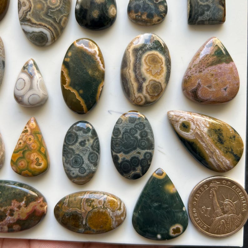 Puede incluir: Una colecci&oacute;n de cabujones de jaspe oce&aacute;nico pulidos de diversas formas y tama&ntilde;os, con patrones circulares y tonos tierra de verde, marr&oacute;n y crema, dispuestos junto a una moneda de un d&oacute;lar para mostrar la escala.