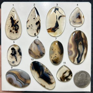 Könnte beinhalten: Eine Sammlung von elf polierten, durchscheinenden Cabochon-Edelsteinen mit dendritischen und gebänderten Mustern in Creme-, Braun- und Schwarztönen, angeordnet auf einer weißen Platte neben einer Münze, nummeriert von eins bis elf.