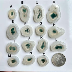 Può includere: Una collezione di fette di agata lucidata di varie forme, ognuna con un esterno bianco e un motivo centrale di formazioni cristalline verde scuro. Una moneta è inclusa per riferimento.