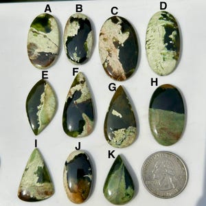 May include: A collection of polished gemstones in various shapes, including ovals, teardrops, and triangles. The stones display a mix of green, black, and tan colors, with unique veining patterns. A quarter coin is included for size reference.