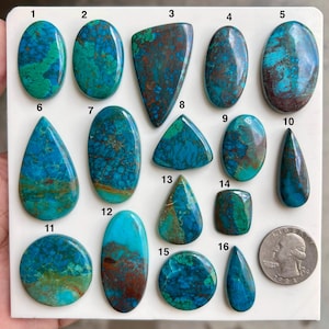Könnte beinhalten: Eine Sammlung von sechzehn polierten Chrysokoll-Cabochons in verschiedenen Formen wie oval, tropfenförmig und rund, präsentiert auf einer weißen Platte mit nummerierten Etiketten von 1 bis 16 und einer US-Quarter-Münze als Größenvergleich.