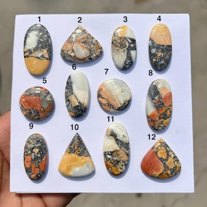 Puede incluir: Una colección de doce piedras preciosas pulidas de diversas formas, incluyendo ovaladas, triangulares y redondas. Las piedras presentan una mezcla de colores, como naranja, negro, blanco y beige, con patrones y texturas únicos. Las piedras están sobre una superficie blanca.