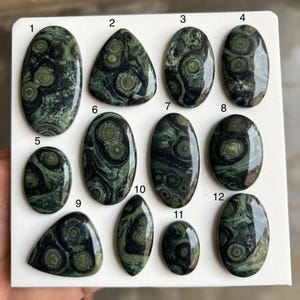 Könnte beinhalten: Eine Sammlung von zwölf polierten Edelsteinen in verschiedenen Formen, darunter oval, tropfenförmig und dreieckig. Die Steine weisen ein dunkelgrünes und schwarzes Muster mit kreisförmigen und wirbelnden Designs auf. Die Edelsteine werden auf einer weißen Oberfläche präsentiert.