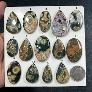 May include: A collection of fourteen polished ocean jasper cabochons in various shapes, including ovals and teardrops, featuring intricate green, brown, and cream patterns. Each stone is numbered from 1 to 14, with a US quarter coin for scale.