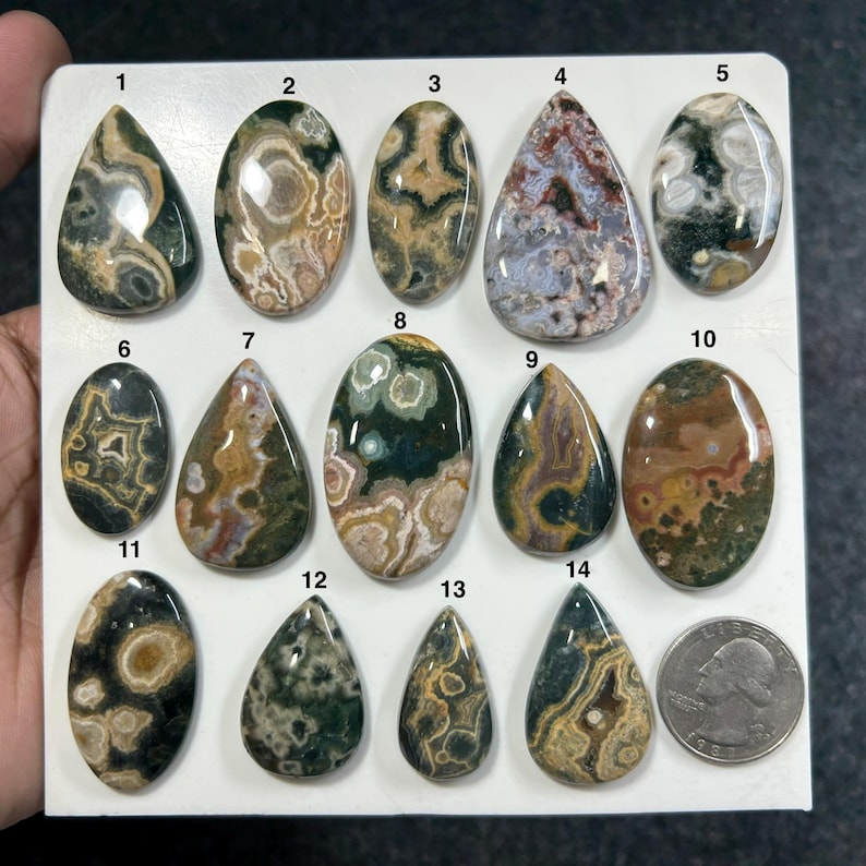 May include: A collection of fourteen polished ocean jasper cabochons in various shapes, including ovals and teardrops, featuring intricate green, brown, and cream patterns. Each stone is numbered from 1 to 14, with a US quarter coin for scale.
