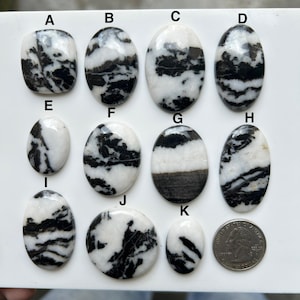 Pode incluir: Uma coleção de cabochões de jaspe zebra em várias formas, incluindo ovais e redondas. As pedras apresentam um padrão listrado preto e branco marcante, com uma moeda para comparação de tamanho. Os cabochões são polidos e têm uma superfície lisa.