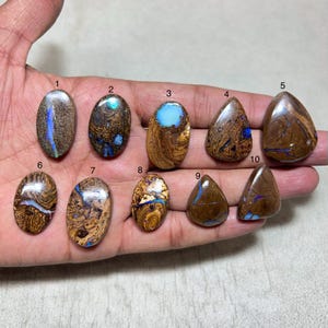 Könnte beinhalten: Eine Sammlung von zehn polierten Opal-Edelsteinen, jede mit einzigartigen Mustern und Farben. Die Opale variieren in der Form von oval bis tropfenförmig und zeigen braune, blaue und irisierende Farbtöne. Die Edelsteine werden vor neutralem Hintergrund präsentiert.