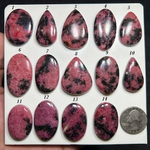 Könnte beinhalten: Eine Sammlung von vierzehn polierten Rhodonit-Cabochons auf einer weißen Anzeigetafel, nummeriert von eins bis vierzehn, mit rosa und schwarzen Mustern in ovalen und tropfenförmigen Formen, neben einer silberfarbenen US-Vierteldollarmünze.