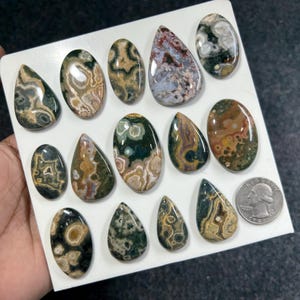 May include: A collection of fourteen polished ocean jasper cabochons in various oval and teardrop shapes, featuring intricate circular patterns in shades of green, brown, cream, and grey, displayed next to a standard US quarter for scale.