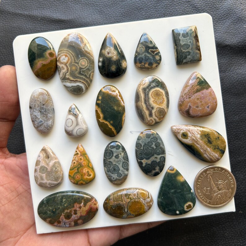 Puede incluir: Una colecci&oacute;n de diecisiete cabujones de jaspe oce&aacute;nico pulido de diversas formas y tama&ntilde;os, con patrones circulares en verde, marr&oacute;n, beige y rosa, dispuestos sobre una tabla blanca junto a una moneda de un d&oacute;lar como referencia.
