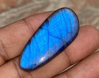 May include: A polished, oval-shaped labradorite gemstone. The stone displays a vibrant blue iridescence with internal veining. The gemstone is held in a hand, showcasing its color and texture. The stone is approximately 2 inches long.
