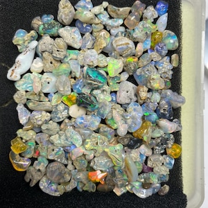 Könnte beinhalten: Eine Sammlung roher Opal-Edelsteine in verschiedenen Formen und Größen. Die Opale zeigen eine Reihe von Farben, darunter Blau, Grün, Gelb und Orange, mit schillernden Blitzen. Die Opale befinden sich in einer mit schwarzem Schaumstoff ausgekleideten Schale.