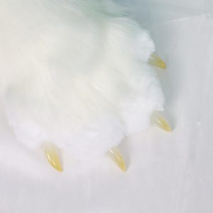 May include: Close-up of a white, fluffy paw with four visible, light yellow claws. The fur is dense and soft-looking, with a slight texture. The claws are smooth and slightly curved.