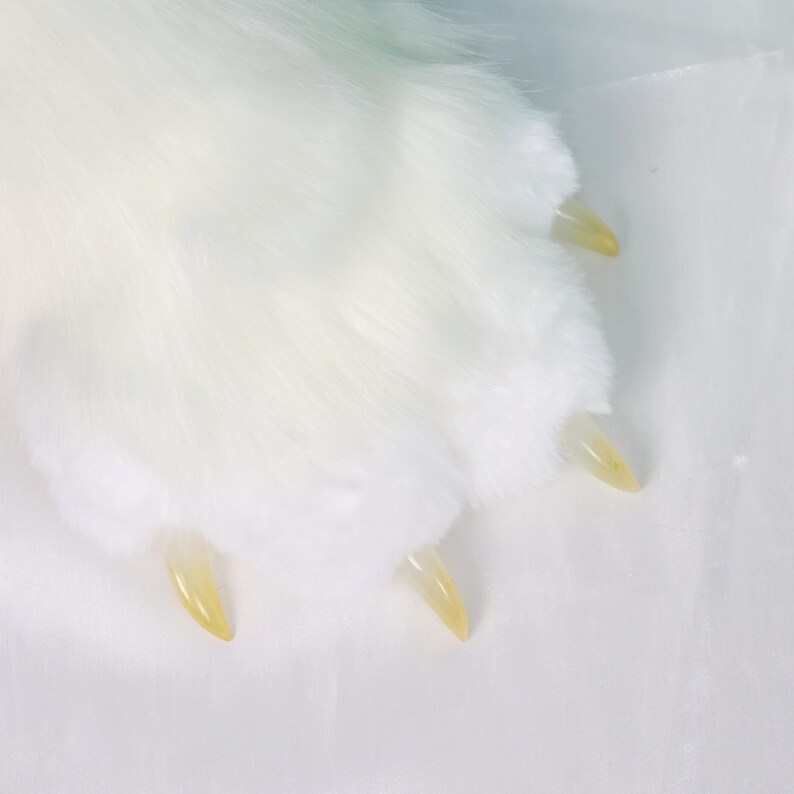 May include: Close-up of a white, fluffy paw with four visible, light yellow claws. The fur is dense and soft-looking, with a slight texture. The claws are smooth and slightly curved.