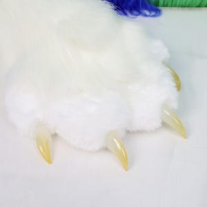 May include: Close-up of a white furry paw with four long, yellow-tinted claws. The fur is soft and fluffy, with a slight texture. The background is a light color, and blue and green strands are visible in the upper right corner.