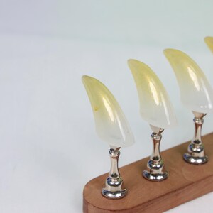 May include: Four decorative, claw-shaped objects with a gradient of yellow to white. Each claw is mounted on a silver-colored pedestal and set on a wooden base. The background is a plain white.