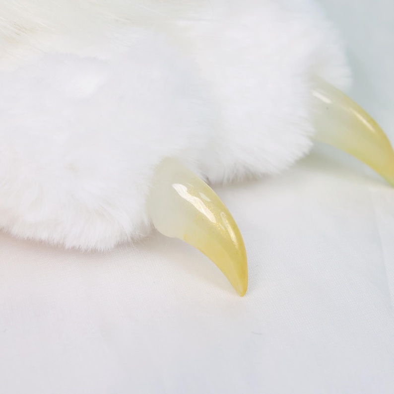 May include: Close-up of a white, fluffy paw with three long, yellow-tinted claws. The fur is soft and dense, contrasting with the smooth, translucent nails. The image is set against a plain white background.