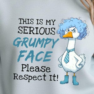 Puede incluir: Sudadera azul claro con el texto "THIS IS MY SERIOUS GRUMPY FACE Please Respect It!" y un ganso de dibujos animados con pelo azul, corbata y botas. El ganso tiene una expresión enfadada.