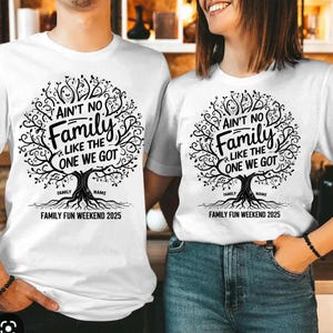 Ain&#39;t no Family like the one I got PNG, family reunion svg, family reunion png, family reunion tree, 2025 family reunion svg