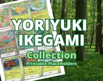 Segnaposto della collezione Yoriyuki Ikegami LEGGI LA DESCRIZIONE (20, aggiornato a PFL)