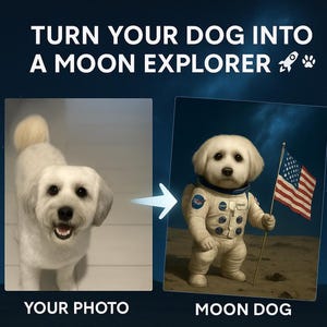 Stampa personalizzata "Cane sulla Luna" - Decorazione murale in metallo 14x11 - Carica la foto del tuo animale domestico - Manda il tuo cane sulla Luna! Stampa fisica su metallo