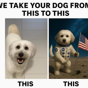 Stampa personalizzata "Cane sulla Luna" - Decorazione murale in metallo 14x11 - Carica la foto del tuo animale domestico - Manda il tuo cane sulla Luna! Stampa fisica su metallo