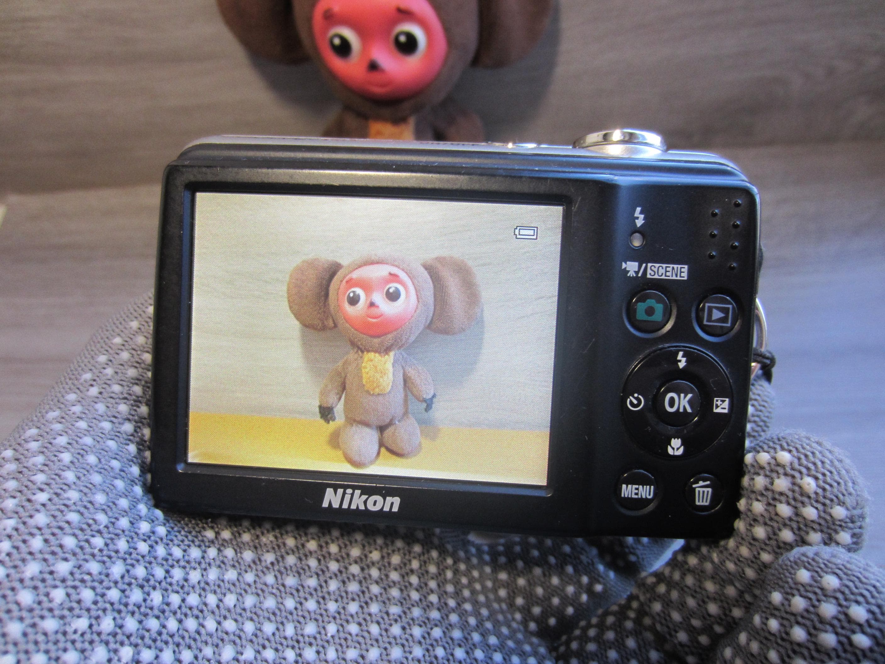 Buy Nikon Coolpix L23 Digital Camera 10.1 Mp 5X Zoom Silver